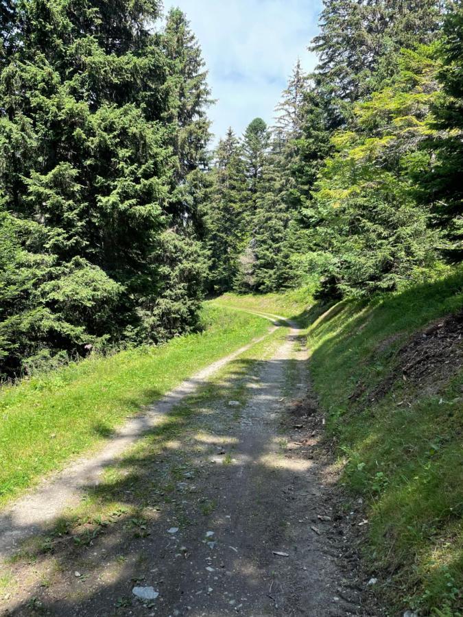 Charmant Appartement Confortable Pour 6 Personnes 40M2 Pied Pistes, Piscine, Wifi, Parking Chamrousse Exterior photo