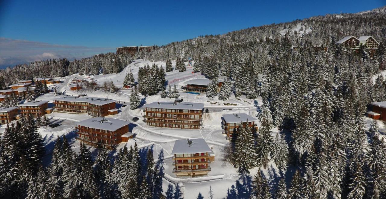 Charmant Appartement Confortable Pour 6 Personnes 40M2 Pied Pistes, Piscine, Wifi, Parking Chamrousse Exterior photo
